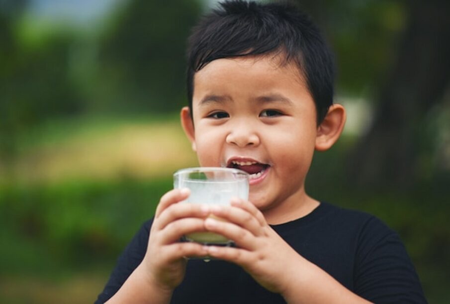 Milk in a Child's Diet