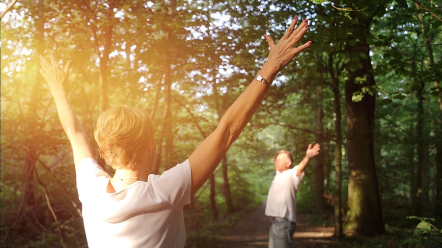 Nature as a Family